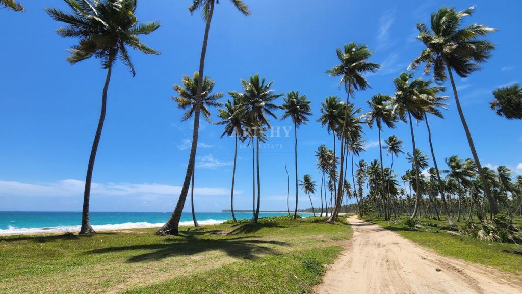 .Purchasing Land in the Dominican Republic