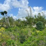 For Sale Building plot in Residencial Villas Bavaro